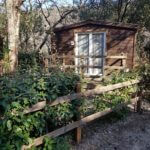 camping bord-de-ceze gard cabane goudargues