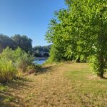 WhatsApp Image 2025-11-26 at 19.59.56