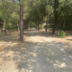 Emplacement_pour_tente_18