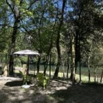 TERRASSE BAR VUE PLAGE